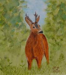 Srnjak poleti  (Akvarel, 22x25 - 2020) - France Smrkolj